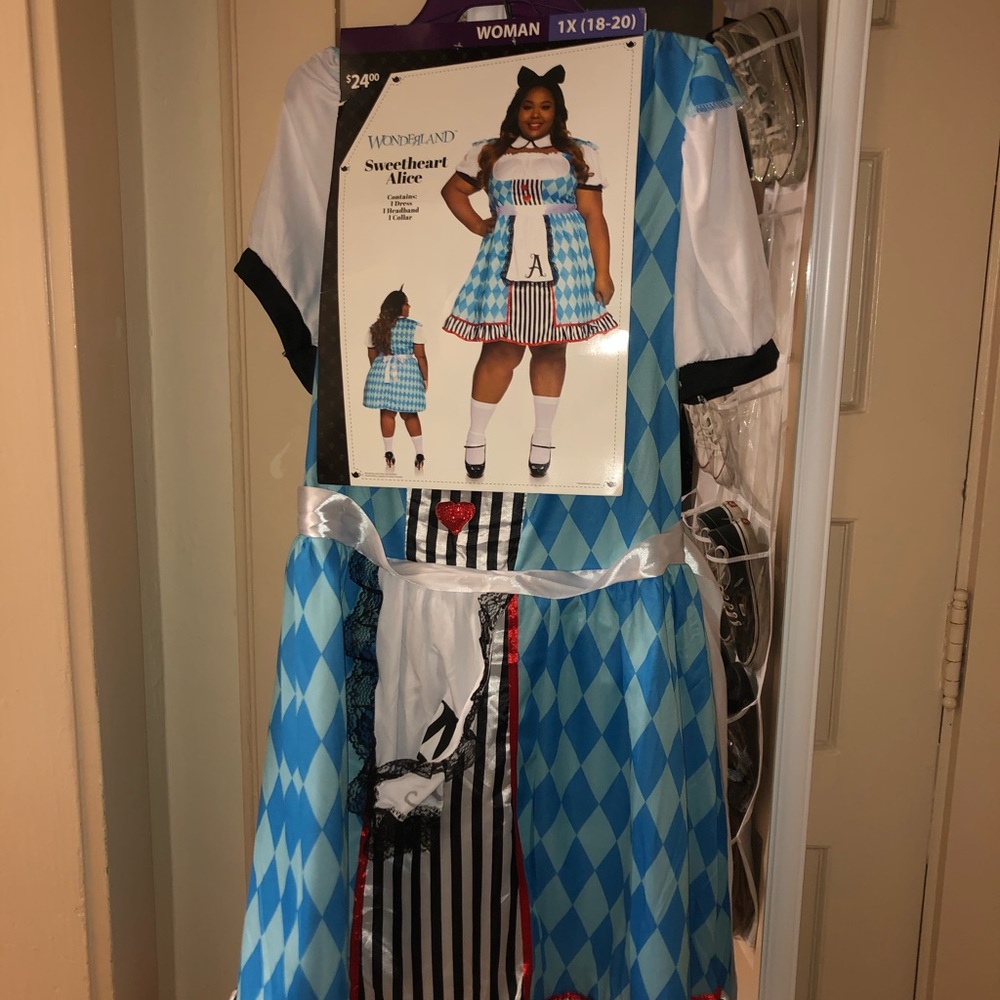 Alice in Wonderland Costume